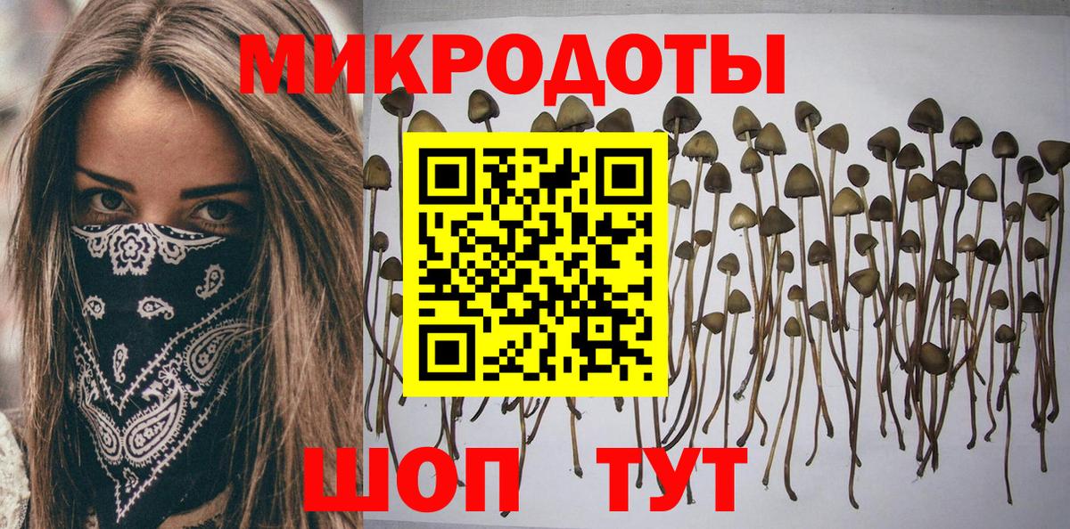 Ангарск  Псилоцибиновые грибы GOLDEN TEACHER  Вход с VPN 